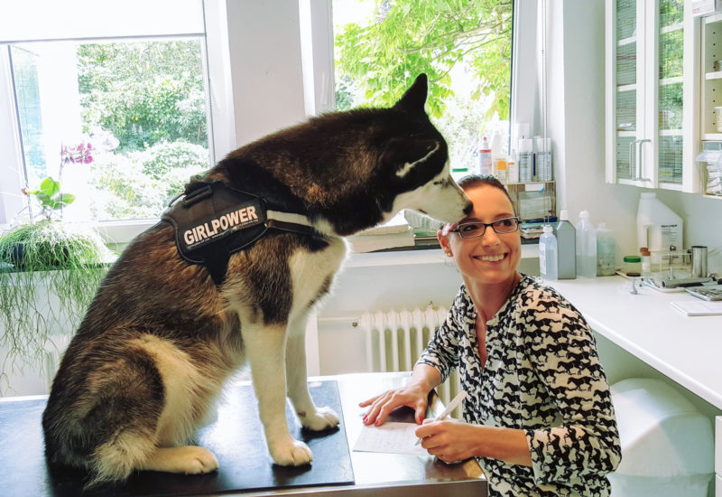 Praxis-Dr-Wontorra-mit-Husky