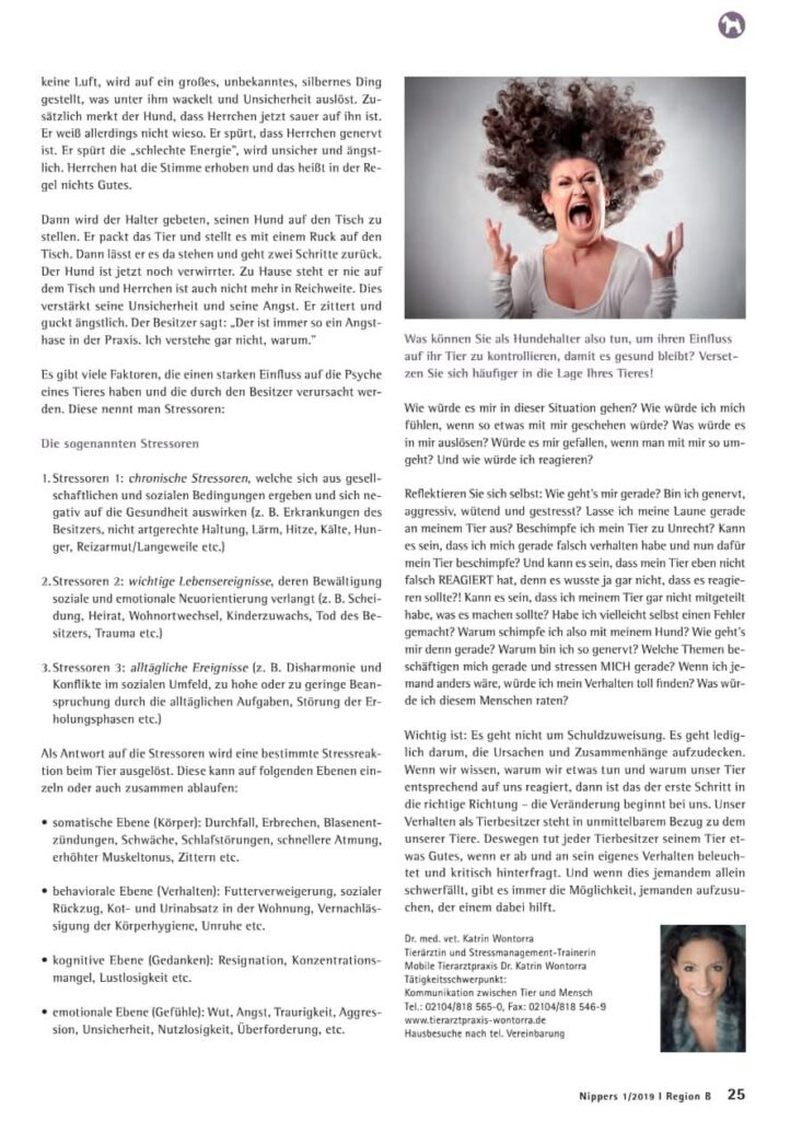 Artikel2